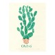 cactus illustration - giclée print Red Cheeks Factory