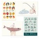 A6 cards (set of 10)-2